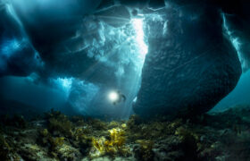 Ogłoszono finalistów konkursu fotografa oceanu roku 2026