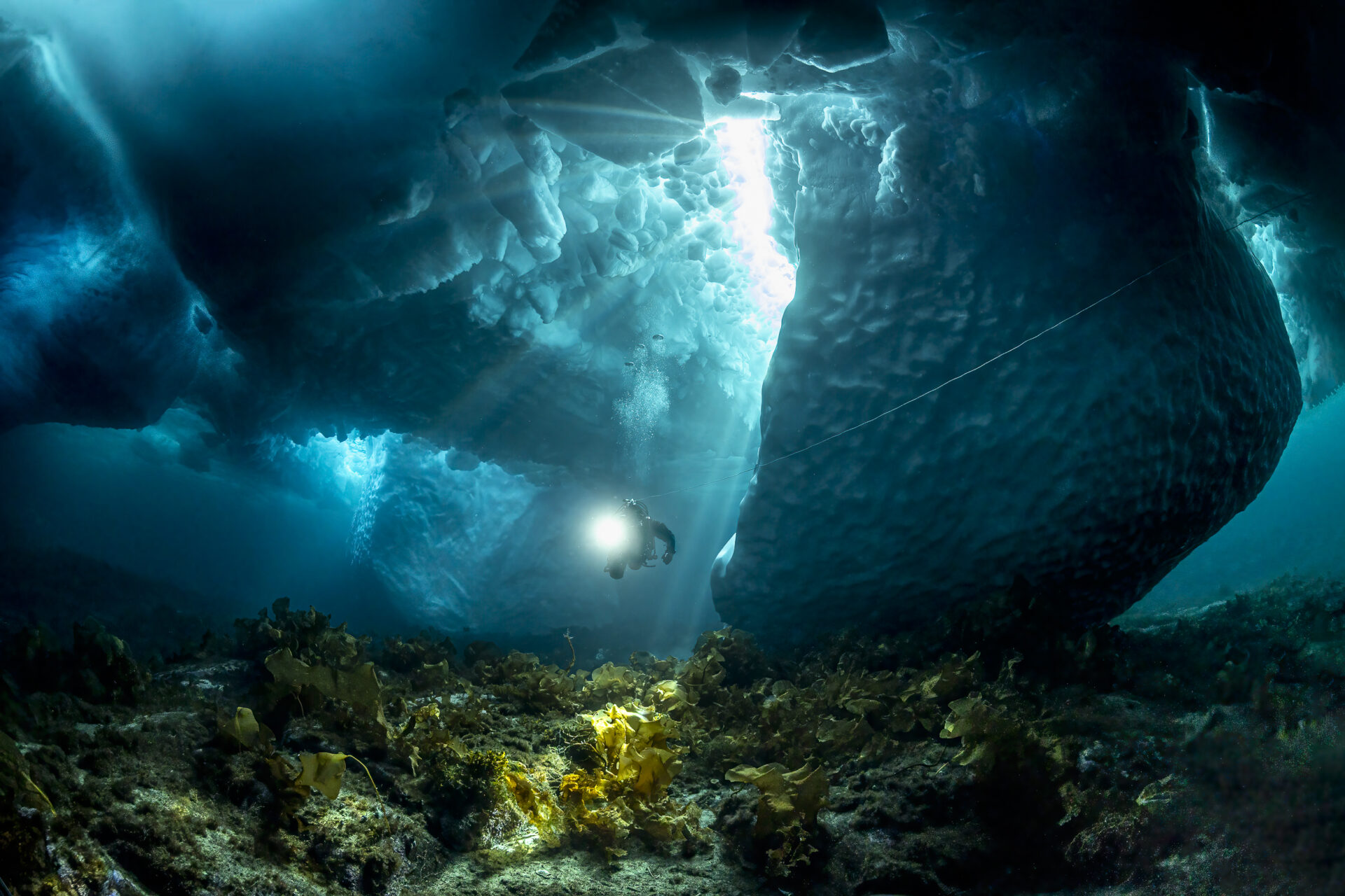 Ogłoszono finalistów konkursu fotografa oceanu roku 2026