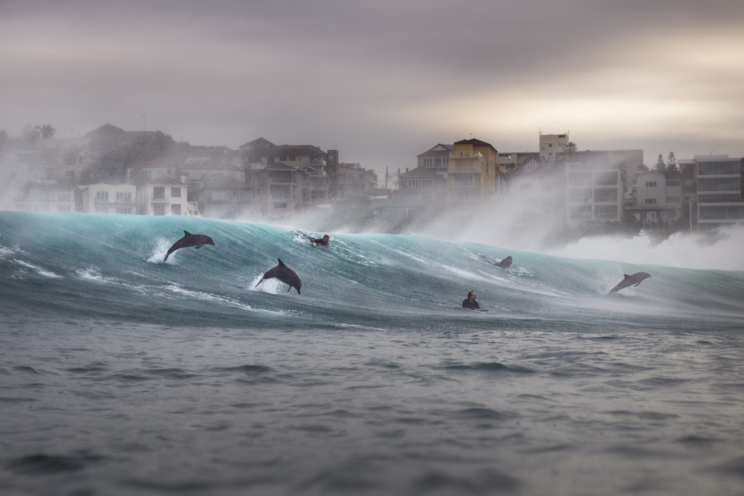 Ogłoszono zwycięzców konkursu Ocean Photographer of the Year 2026