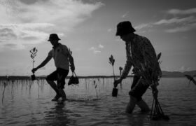 Sylvia Earle z IUCN przedstawia Partnerstwo Jednego Oceanu podczas Tygodnia Klimatycznego